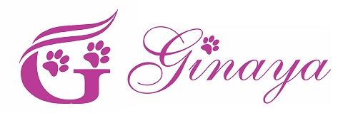 Ginaya
